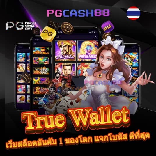 wink666plus